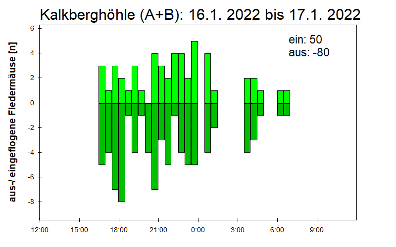 [Fledermaus] Lichtschranke: Segeberger Kalkberg (NABU Schleswig-Holstein)
