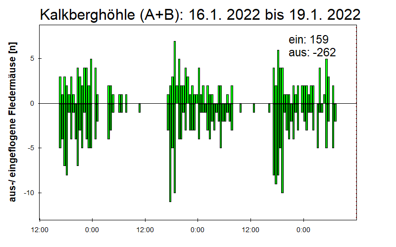 [Fledermaus] Lichtschranke: Segeberger Kalkberg (NABU Schleswig-Holstein)