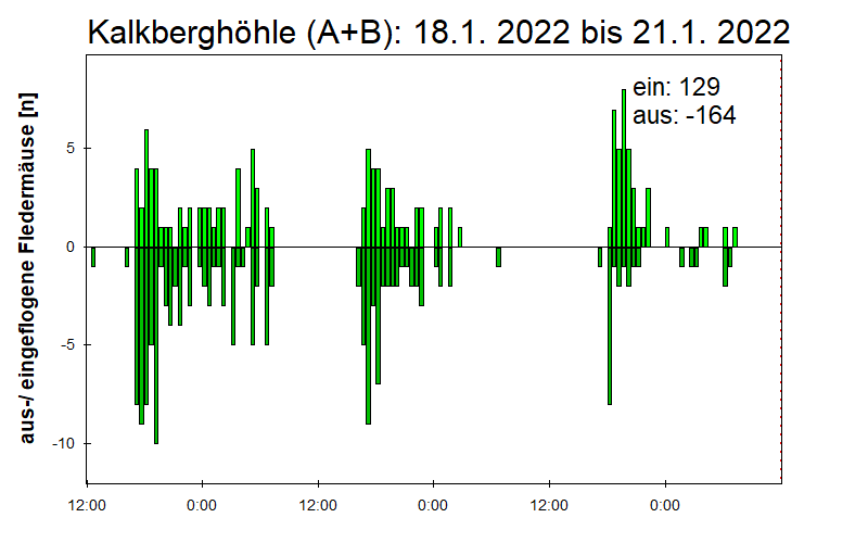 [Fledermaus] Lichtschranke: Segeberger Kalkberg (NABU Schleswig-Holstein)