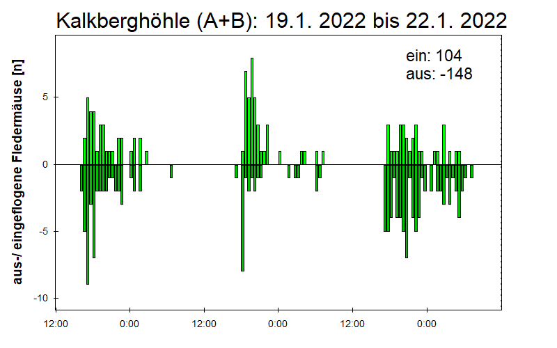 [Fledermaus] Lichtschranke: Segeberger Kalkberg (NABU Schleswig-Holstein)