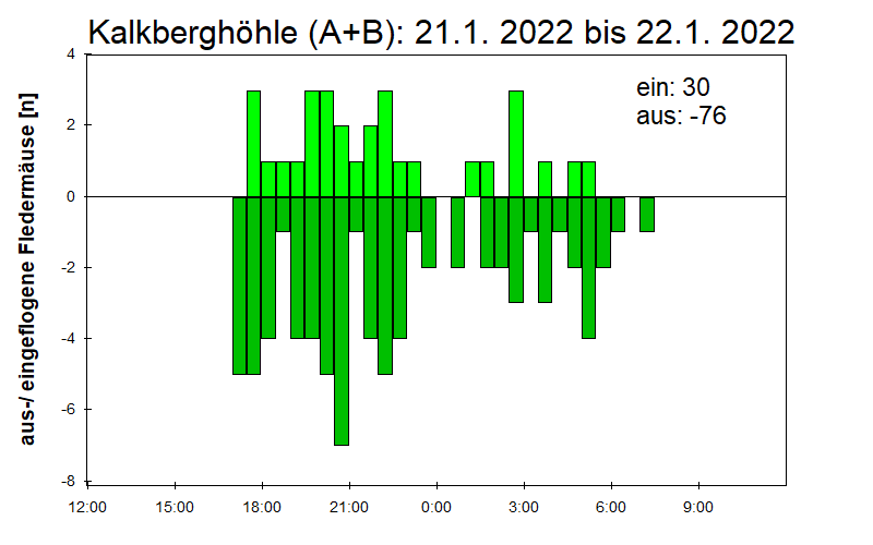 [Fledermaus] Lichtschranke: Segeberger Kalkberg (NABU Schleswig-Holstein)