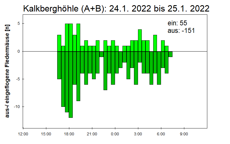 [Fledermaus] Lichtschranke: Segeberger Kalkberg (NABU Schleswig-Holstein)