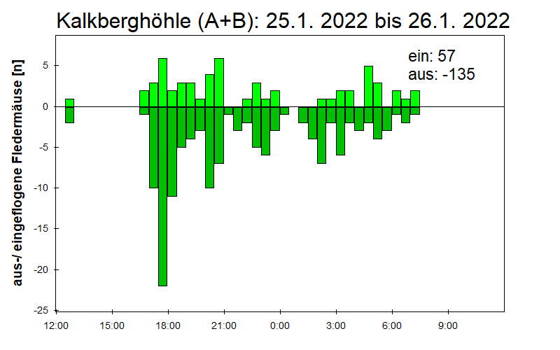 [Fledermaus] Lichtschranke: Segeberger Kalkberg (NABU Schleswig-Holstein)