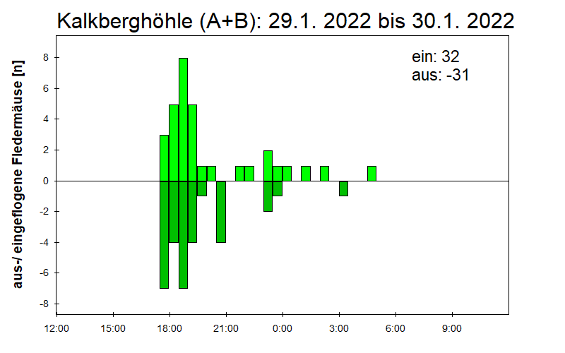 [Fledermaus] Lichtschranke: Segeberger Kalkberg (NABU Schleswig-Holstein)