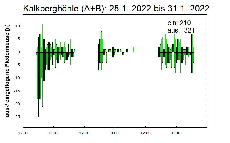 [Fledermaus] Lichtschranke: Segeberger Kalkberg (NABU Schleswig-Holstein)