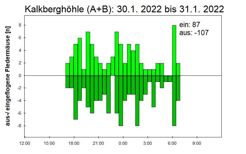 [Fledermaus] Lichtschranke: Segeberger Kalkberg (NABU Schleswig-Holstein)