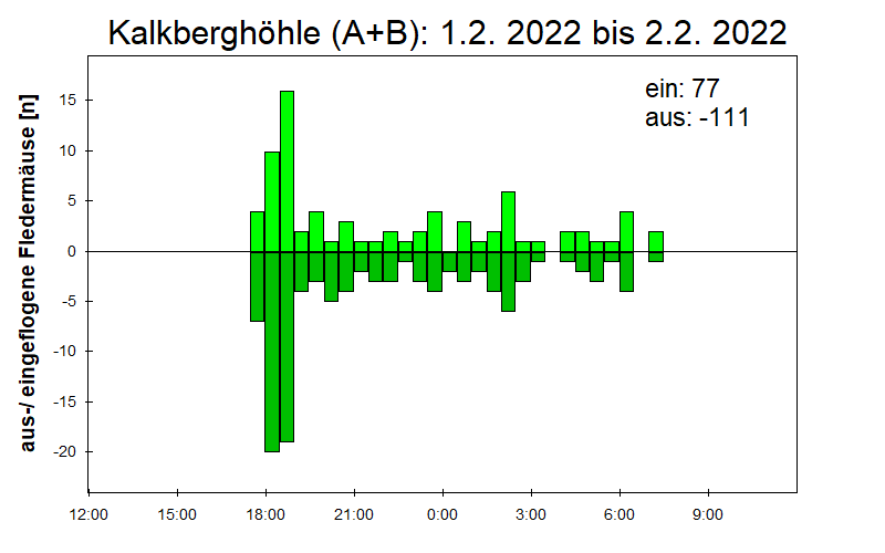 [Fledermaus] Lichtschranke: Segeberger Kalkberg (NABU Schleswig-Holstein)