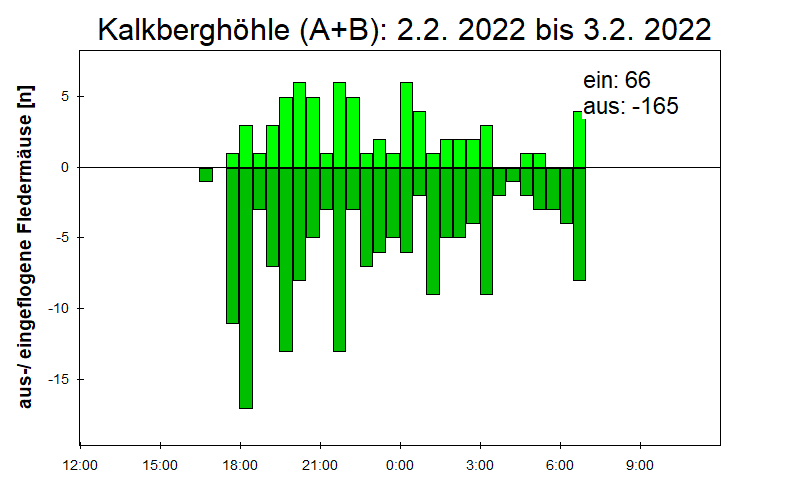 [Fledermaus] Lichtschranke: Segeberger Kalkberg (NABU Schleswig-Holstein)