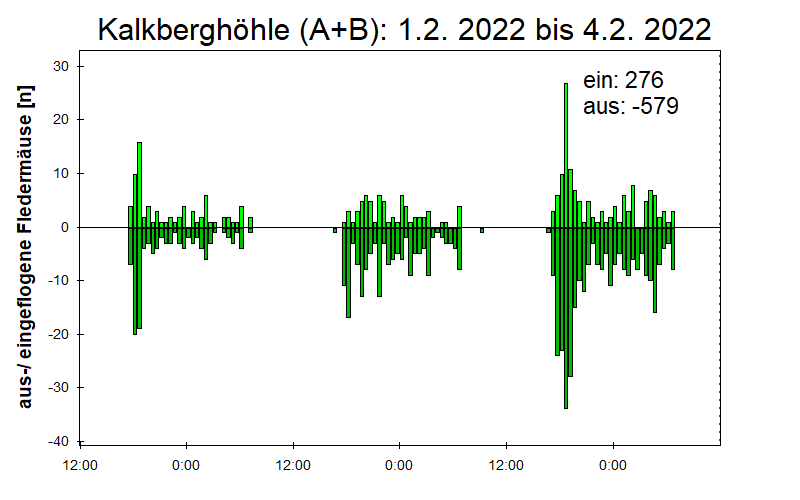 [Fledermaus] Lichtschranke: Segeberger Kalkberg (NABU Schleswig-Holstein)