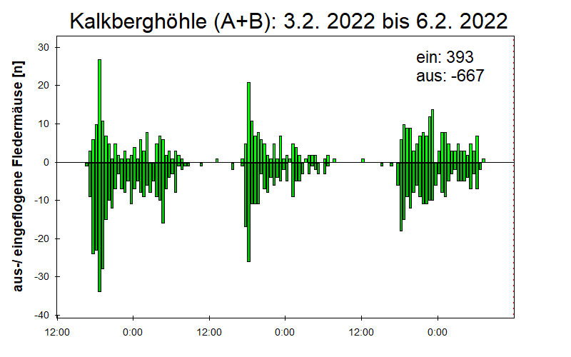 [Fledermaus] Lichtschranke: Segeberger Kalkberg (NABU Schleswig-Holstein)