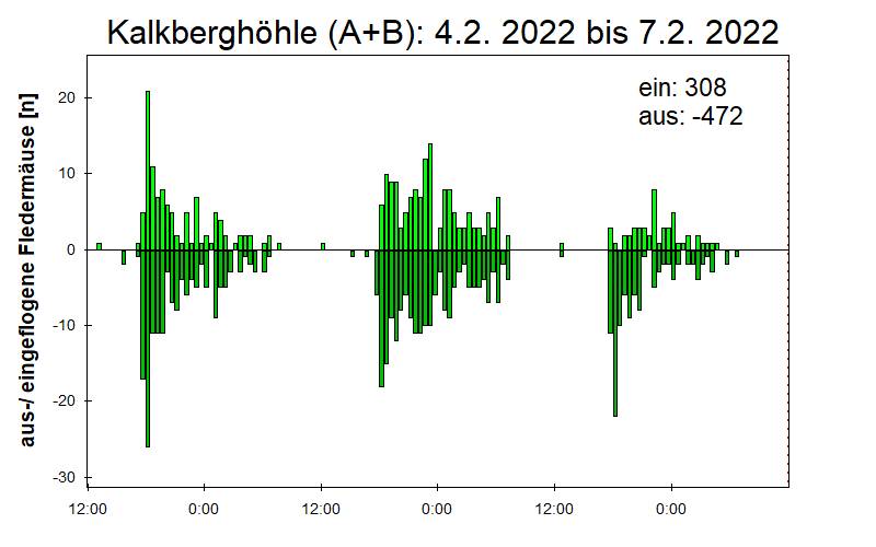 [Fledermaus] Lichtschranke: Segeberger Kalkberg (NABU Schleswig-Holstein)