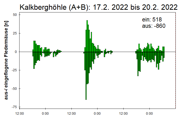 [Fledermaus] Lichtschranke: Segeberger Kalkberg (NABU Schleswig-Holstein)