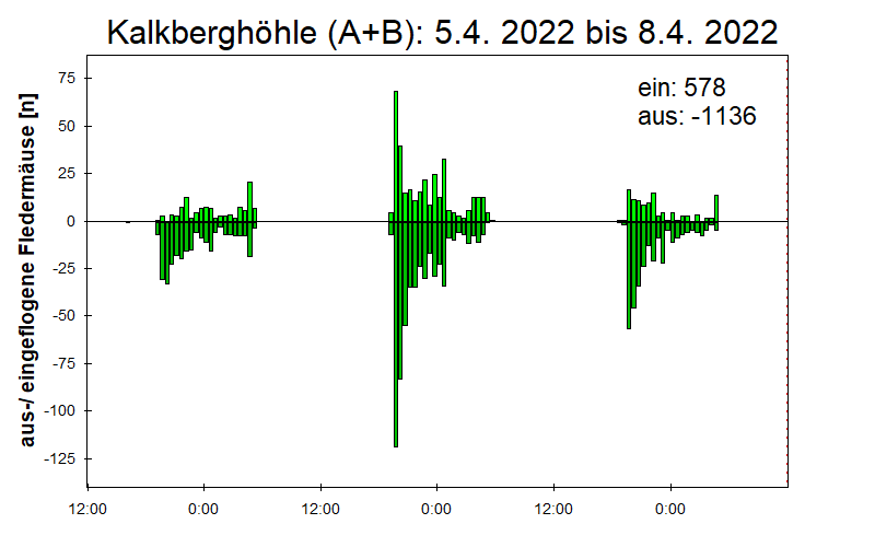 [Fledermaus] Lichtschranke: Segeberger Kalkberg (NABU Schleswig-Holstein)