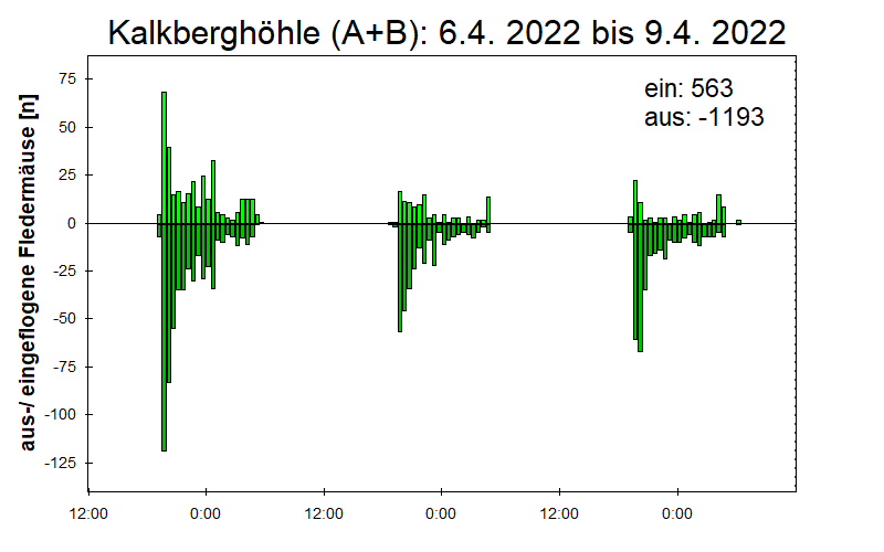 [Fledermaus] Lichtschranke: Segeberger Kalkberg (NABU Schleswig-Holstein)