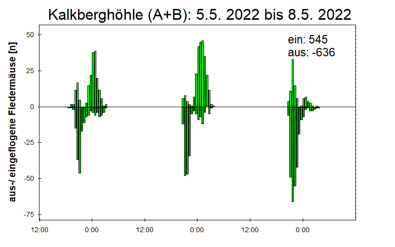 [Fledermaus] Lichtschranke: Segeberger Kalkberg (NABU Schleswig-Holstein)