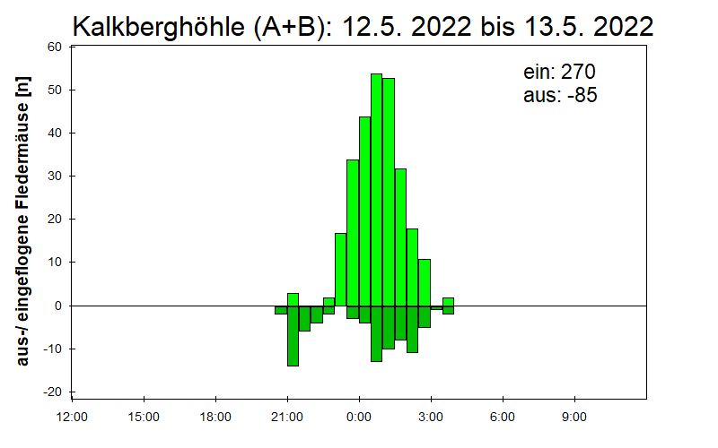 [Fledermaus] Lichtschranke: Segeberger Kalkberg (NABU Schleswig-Holstein)