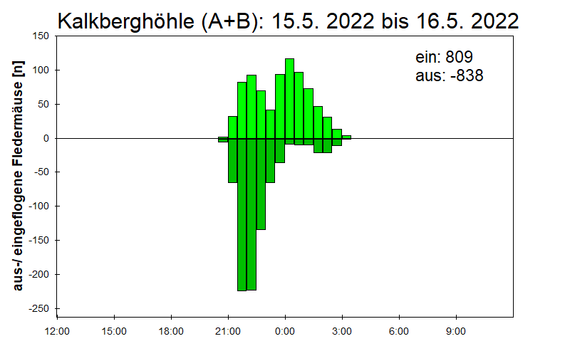 [Fledermaus] Lichtschranke: Segeberger Kalkberg (NABU Schleswig-Holstein)