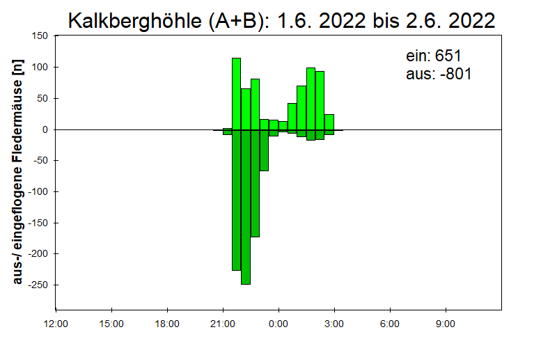 [Fledermaus] Lichtschranke: Segeberger Kalkberg (NABU Schleswig-Holstein)