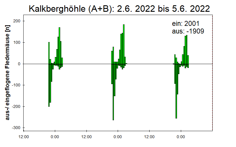 [Fledermaus] Lichtschranke: Segeberger Kalkberg (NABU Schleswig-Holstein)