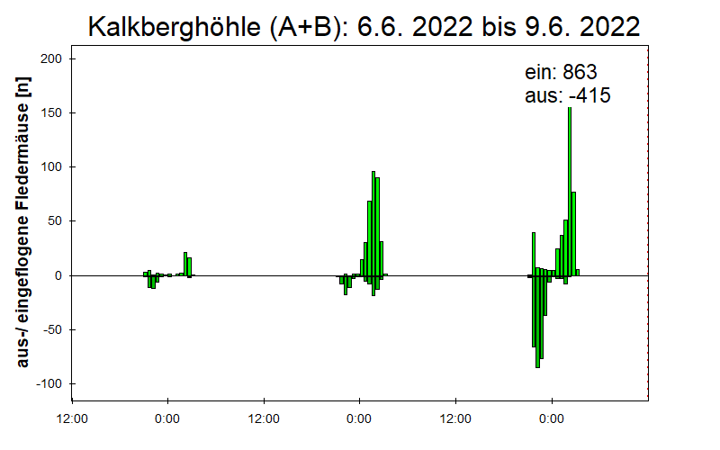 [Fledermaus] Lichtschranke: Segeberger Kalkberg (NABU Schleswig-Holstein)