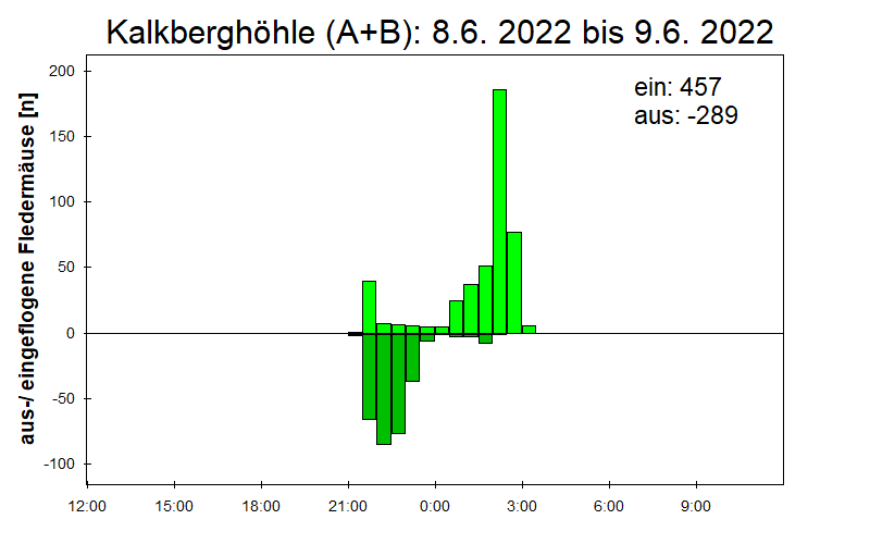 [Fledermaus] Lichtschranke: Segeberger Kalkberg (NABU Schleswig-Holstein)