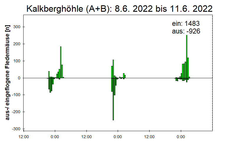 [Fledermaus] Lichtschranke: Segeberger Kalkberg (NABU Schleswig-Holstein)