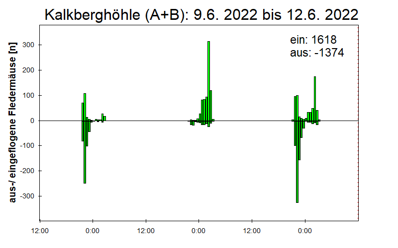 [Fledermaus] Lichtschranke: Segeberger Kalkberg (NABU Schleswig-Holstein)