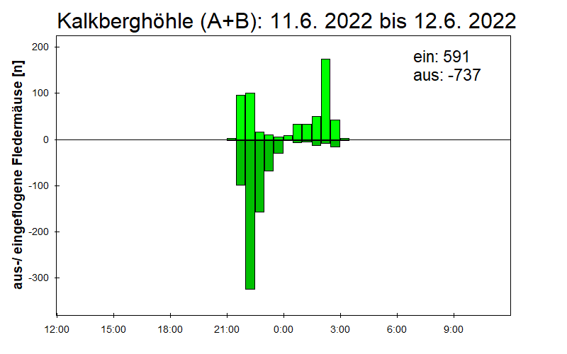 [Fledermaus] Lichtschranke: Segeberger Kalkberg (NABU Schleswig-Holstein)