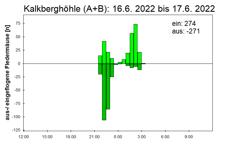 [Fledermaus] Lichtschranke: Segeberger Kalkberg (NABU Schleswig-Holstein)