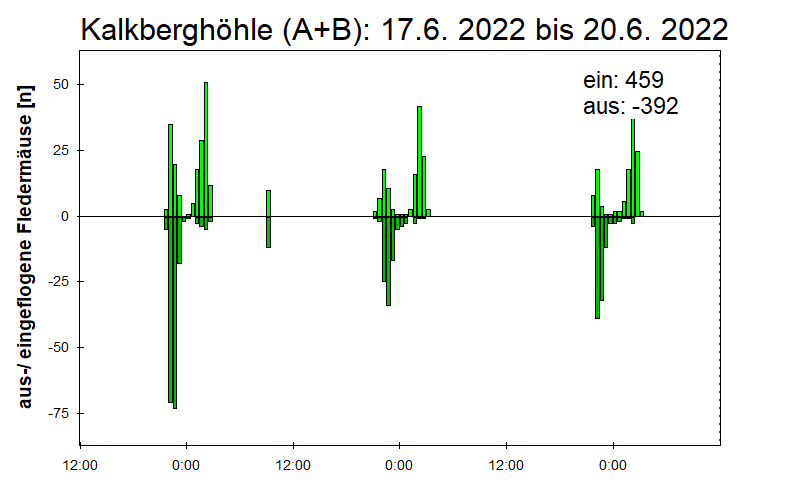 [Fledermaus] Lichtschranke: Segeberger Kalkberg (NABU Schleswig-Holstein)
