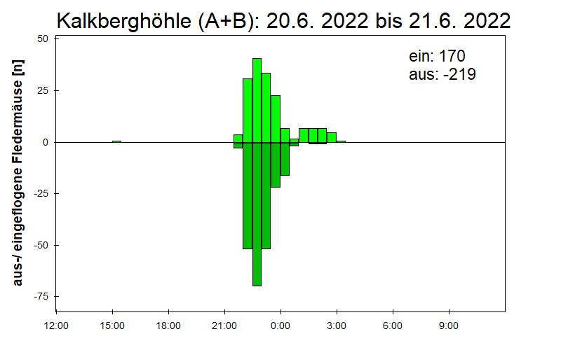 [Fledermaus] Lichtschranke: Segeberger Kalkberg (NABU Schleswig-Holstein)