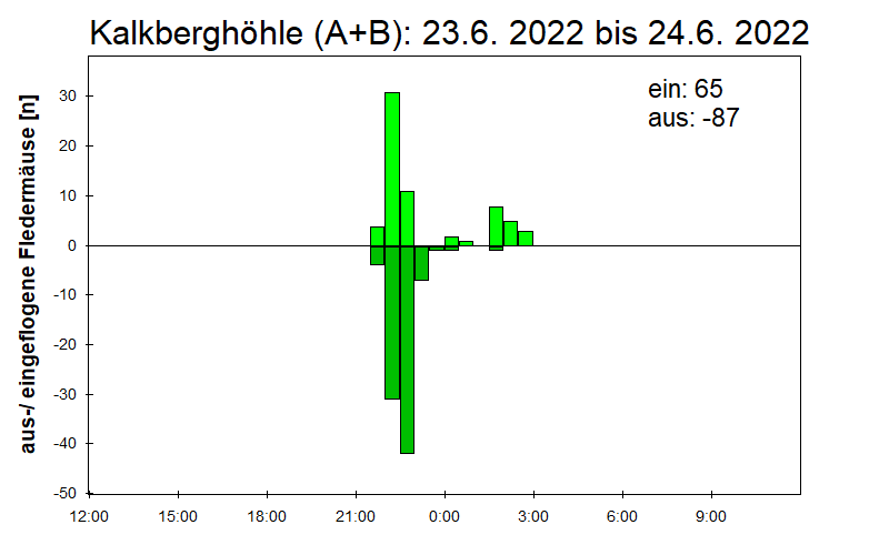 [Fledermaus] Lichtschranke: Segeberger Kalkberg (NABU Schleswig-Holstein)