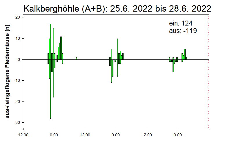 [Fledermaus] Lichtschranke: Segeberger Kalkberg (NABU Schleswig-Holstein)