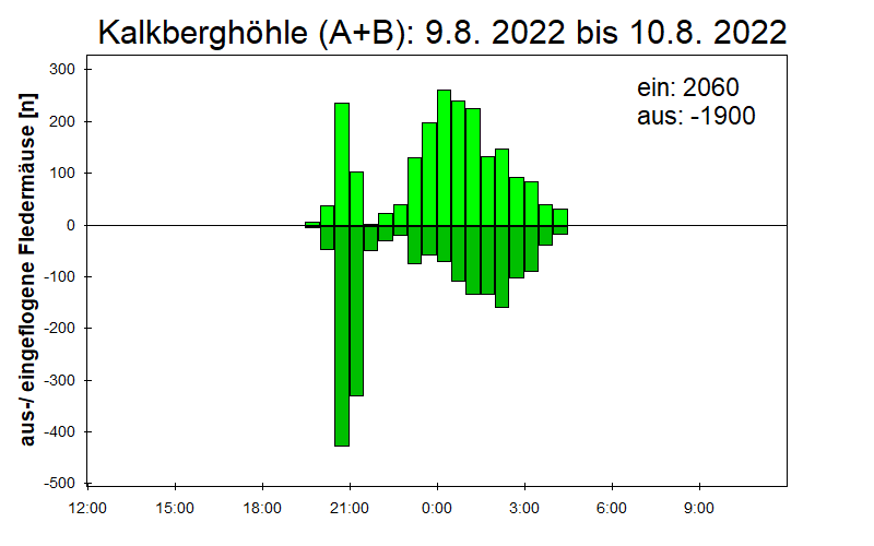 [Fledermaus] Lichtschranke: Segeberger Kalkberg (NABU Schleswig-Holstein)