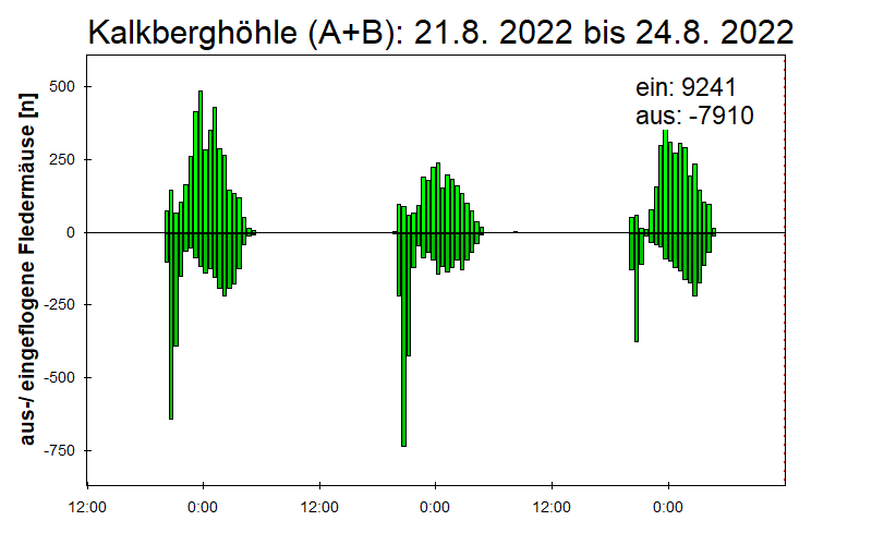 [Fledermaus] Lichtschranke: Segeberger Kalkberg (NABU Schleswig-Holstein)