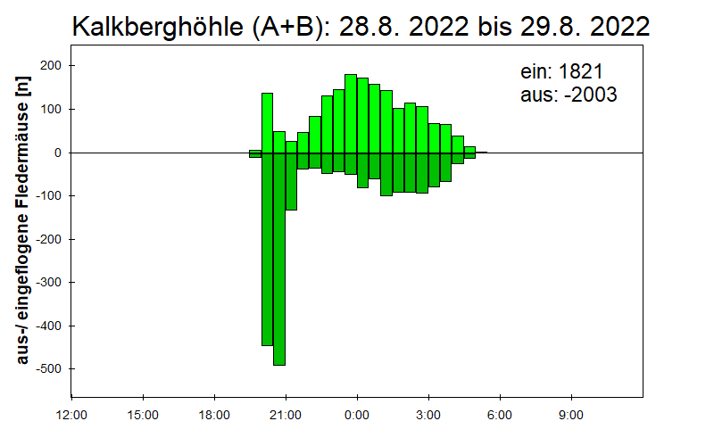 [Fledermaus] Lichtschranke: Segeberger Kalkberg (NABU Schleswig-Holstein)