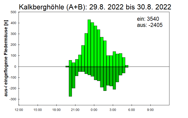 [Fledermaus] Lichtschranke: Segeberger Kalkberg (NABU Schleswig-Holstein)