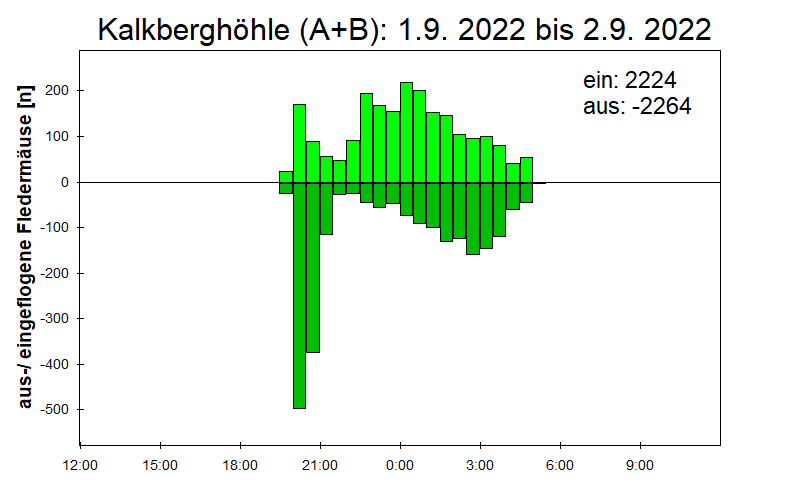 [Fledermaus] Lichtschranke: Segeberger Kalkberg (NABU Schleswig-Holstein)
