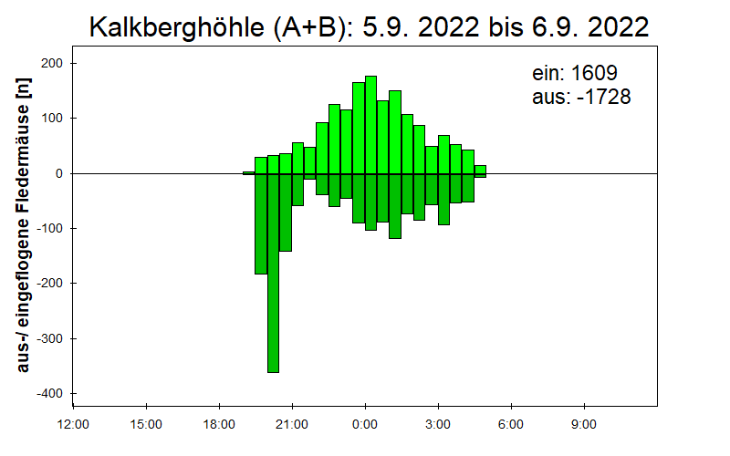 [Fledermaus] Lichtschranke: Segeberger Kalkberg (NABU Schleswig-Holstein)