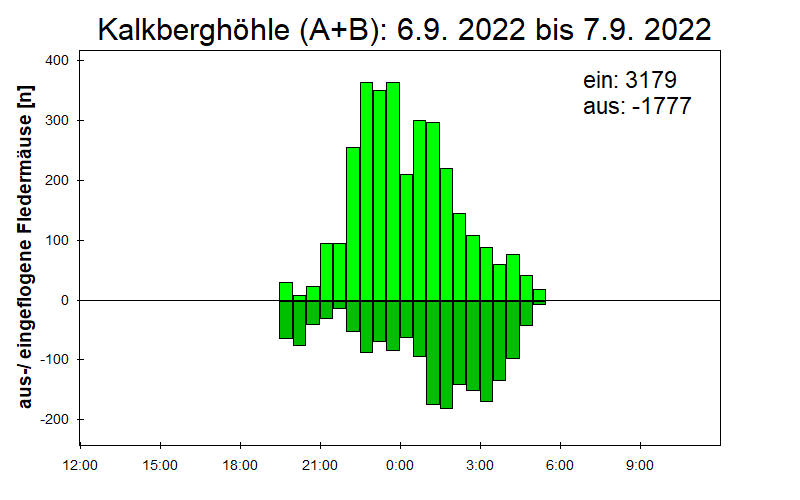 [Fledermaus] Lichtschranke: Segeberger Kalkberg (NABU Schleswig-Holstein)
