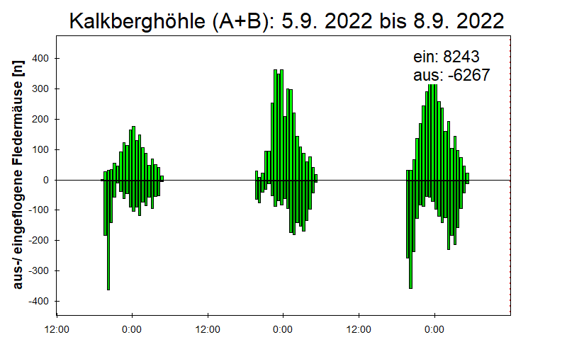 [Fledermaus] Lichtschranke: Segeberger Kalkberg (NABU Schleswig-Holstein)
