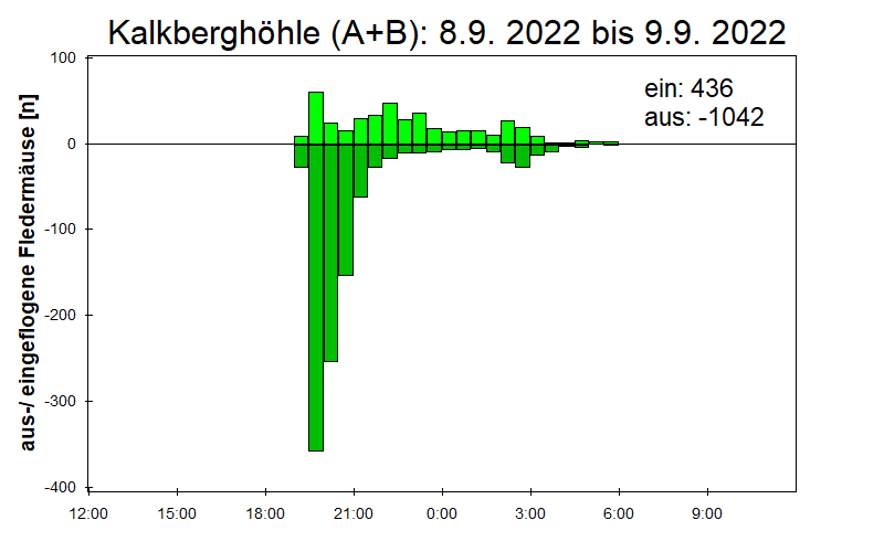[Fledermaus] Lichtschranke: Segeberger Kalkberg (NABU Schleswig-Holstein)