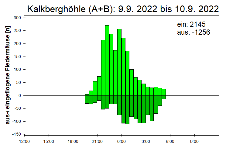[Fledermaus] Lichtschranke: Segeberger Kalkberg (NABU Schleswig-Holstein)