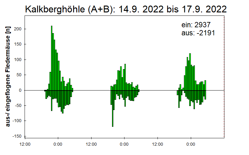 [Fledermaus] Lichtschranke: Segeberger Kalkberg (NABU Schleswig-Holstein)
