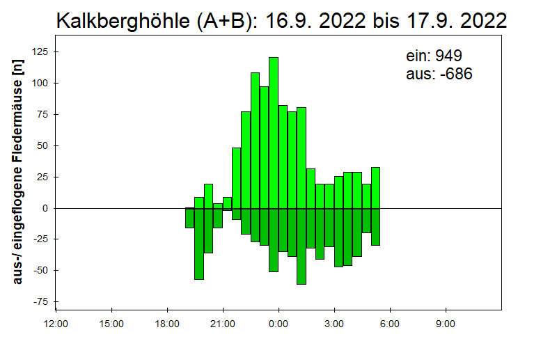 [Fledermaus] Lichtschranke: Segeberger Kalkberg (NABU Schleswig-Holstein)