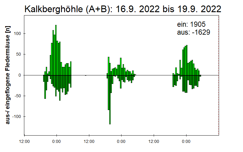 [Fledermaus] Lichtschranke: Segeberger Kalkberg (NABU Schleswig-Holstein)