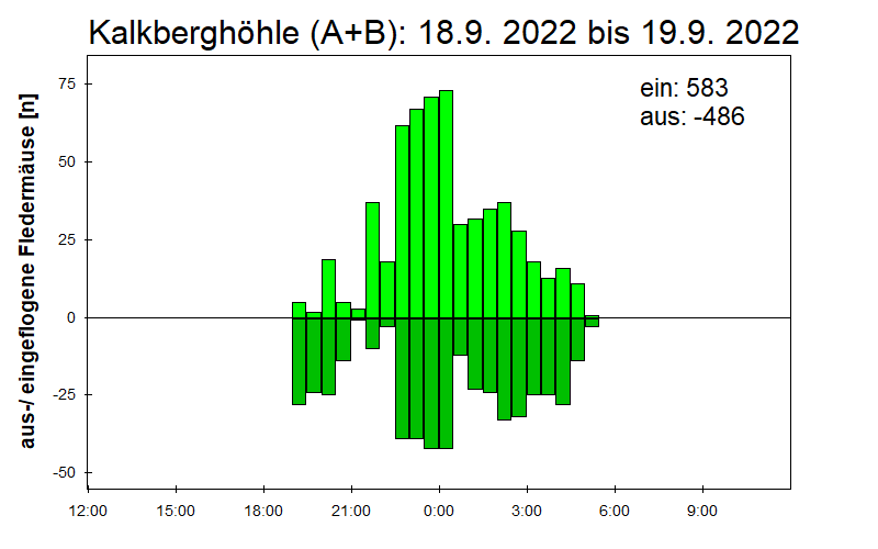 [Fledermaus] Lichtschranke: Segeberger Kalkberg (NABU Schleswig-Holstein)