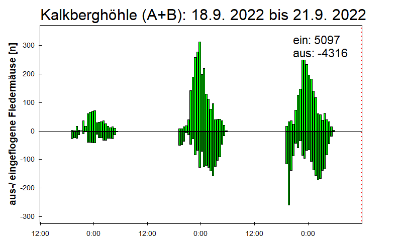 [Fledermaus] Lichtschranke: Segeberger Kalkberg (NABU Schleswig-Holstein)