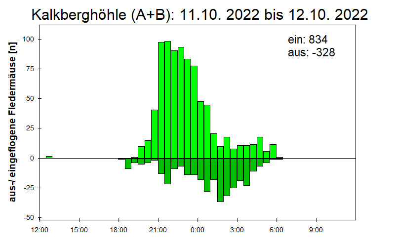 [Fledermaus] Lichtschranke: Segeberger Kalkberg (NABU Schleswig-Holstein)
