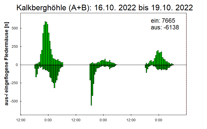 [Fledermaus] Lichtschranke: Segeberger Kalkberg (NABU Schleswig-Holstein)